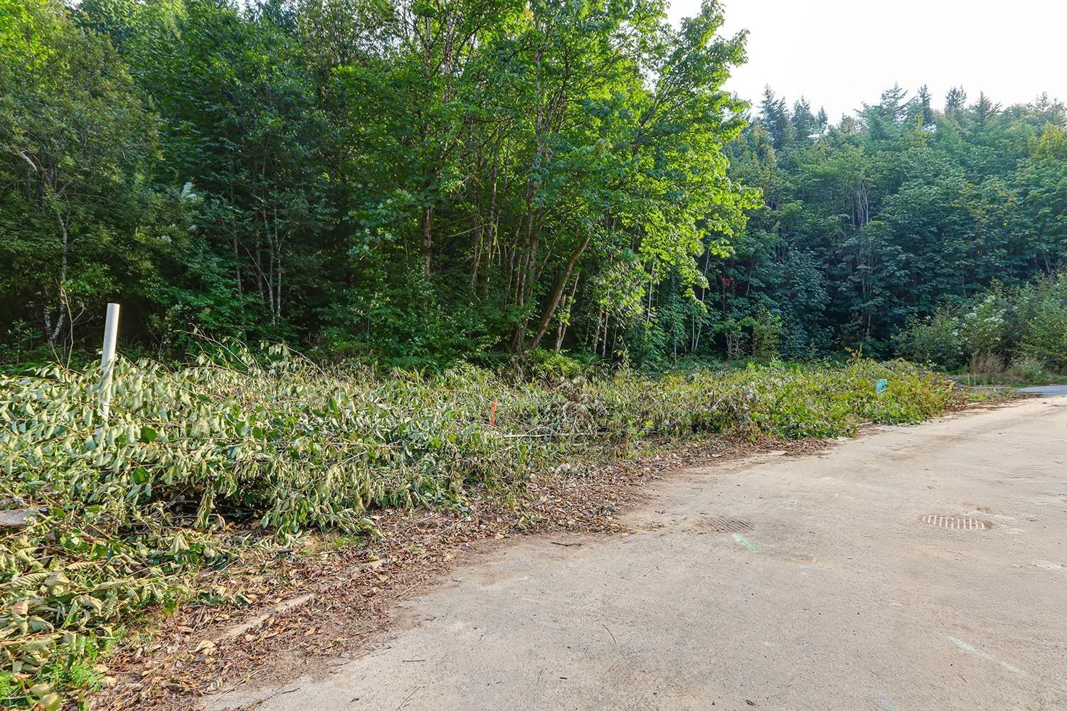 6 66026 KAWKAWA LAKE ROAD|Hope
