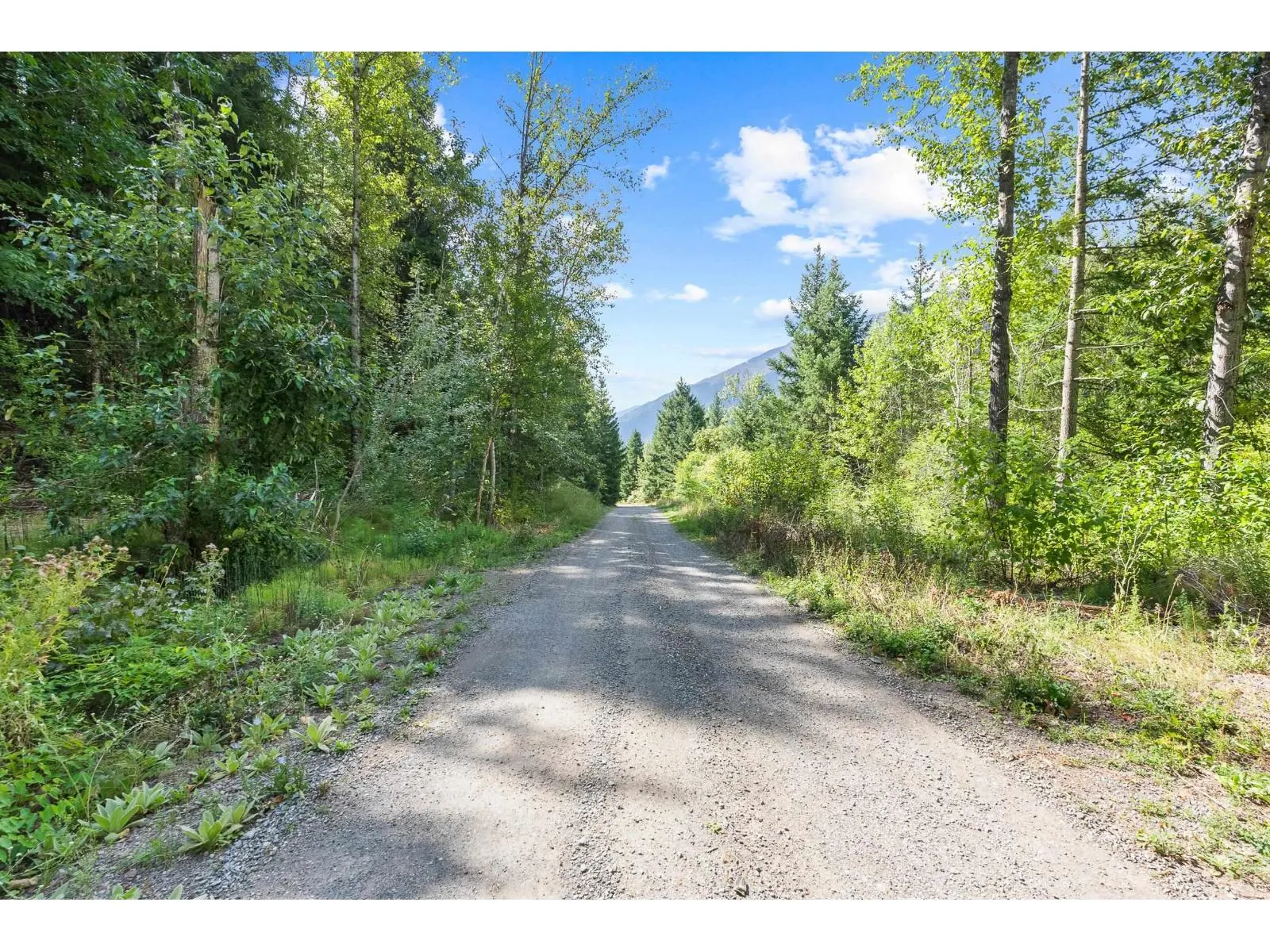 49300 TRANS CANADA HIGHWAY|Fraser Canyon