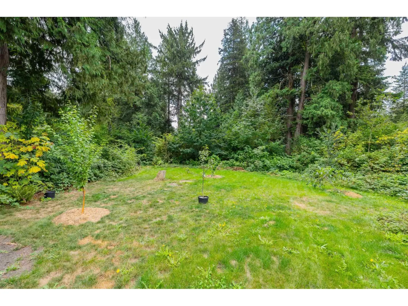 43685 LOUGHEED HIGHWAY