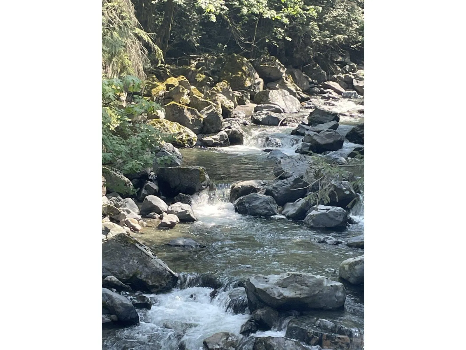 LOT 11 DENT ROAD|Laidlaw