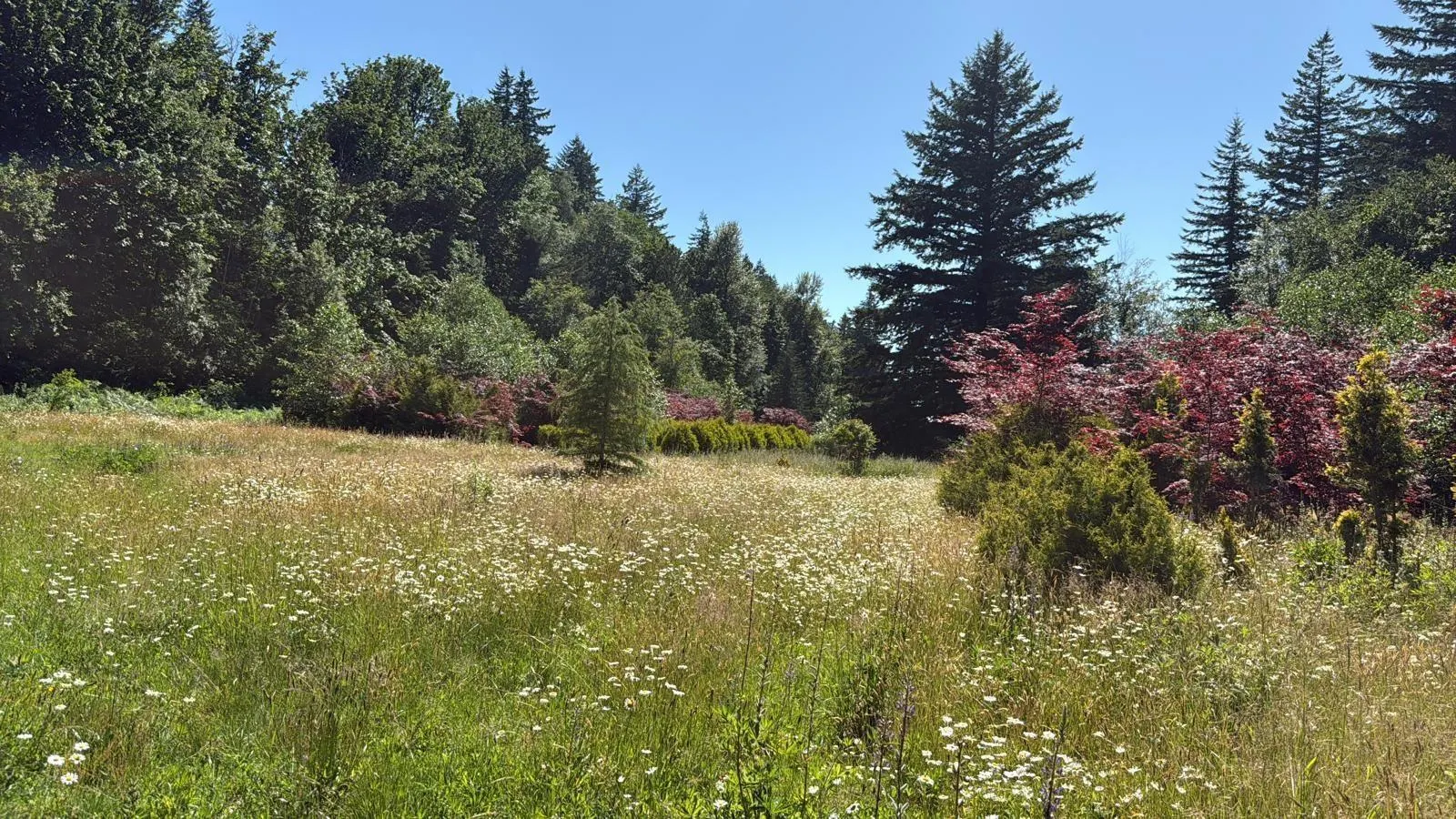 1153 KOSIKAR ROAD|Columbia Valley