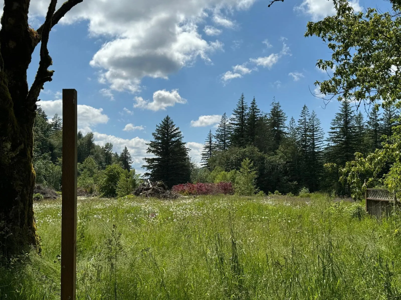 1153 KOSIKAR ROAD|Columbia Valley