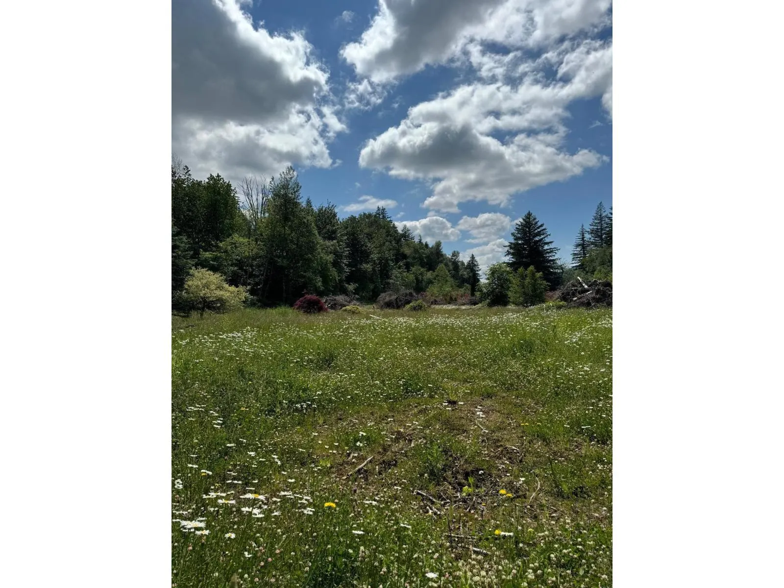 1153 KOSIKAR ROAD|Columbia Valley