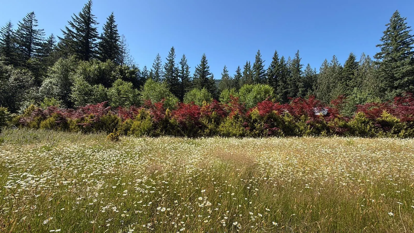 1153 KOSIKAR ROAD|Columbia Valley