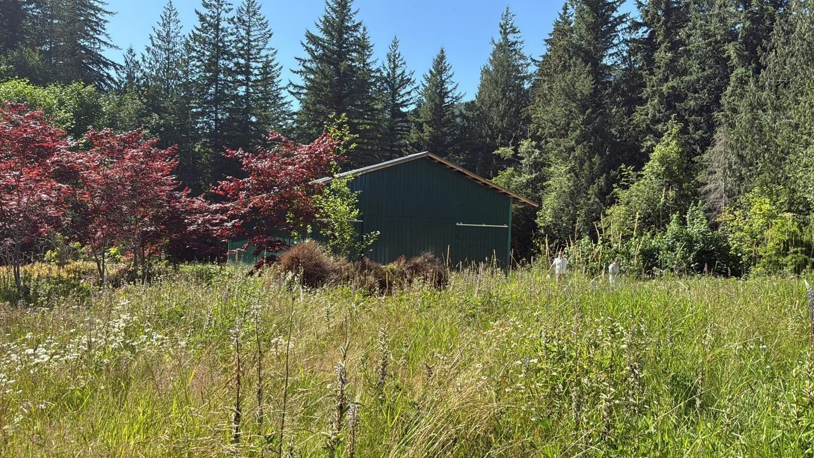 1153 KOSIKAR ROAD|Columbia Valley