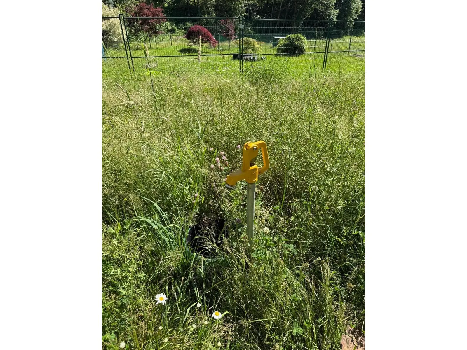 1153 KOSIKAR ROAD|Columbia Valley