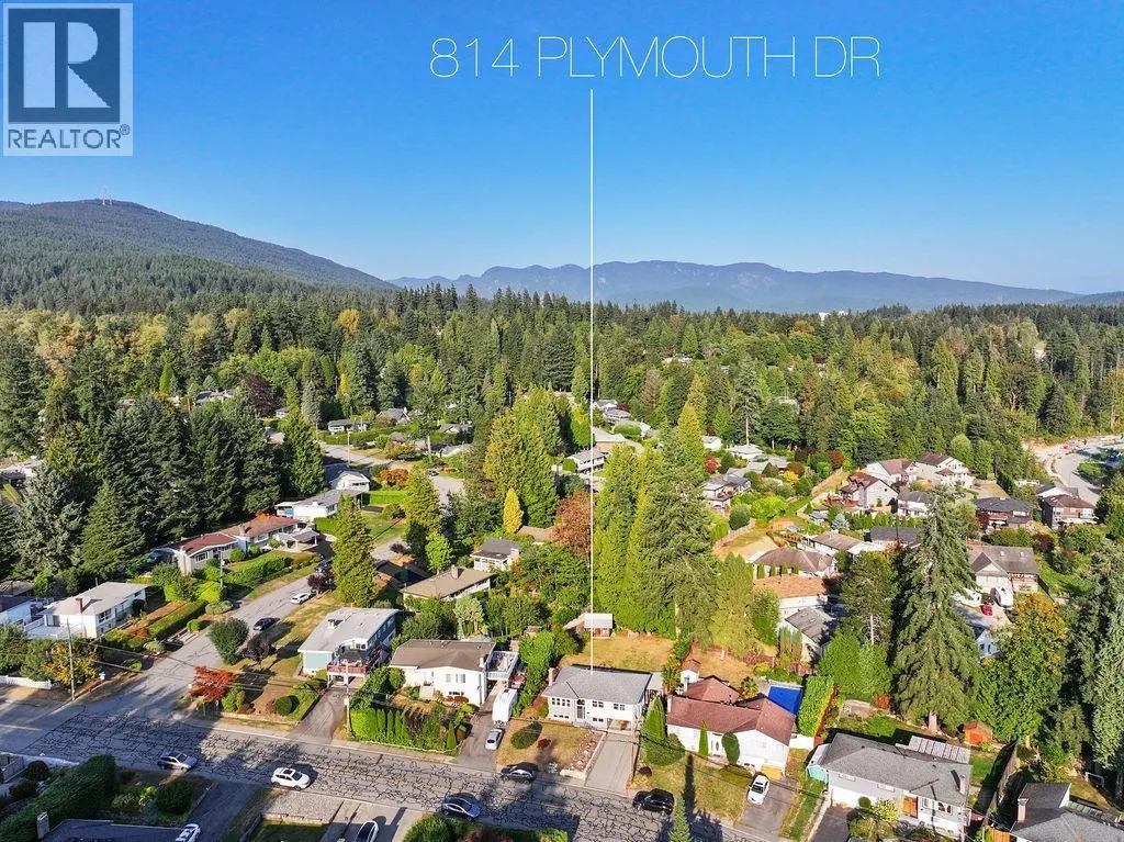 814 PLYMOUTH DRIVE