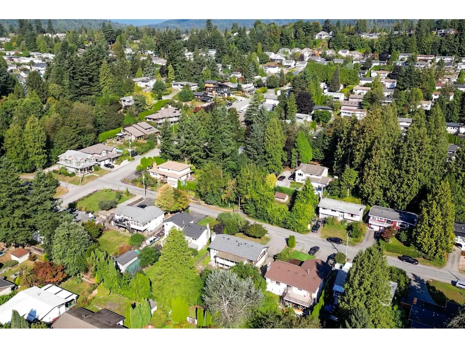 33239 BROWN CRESCENT