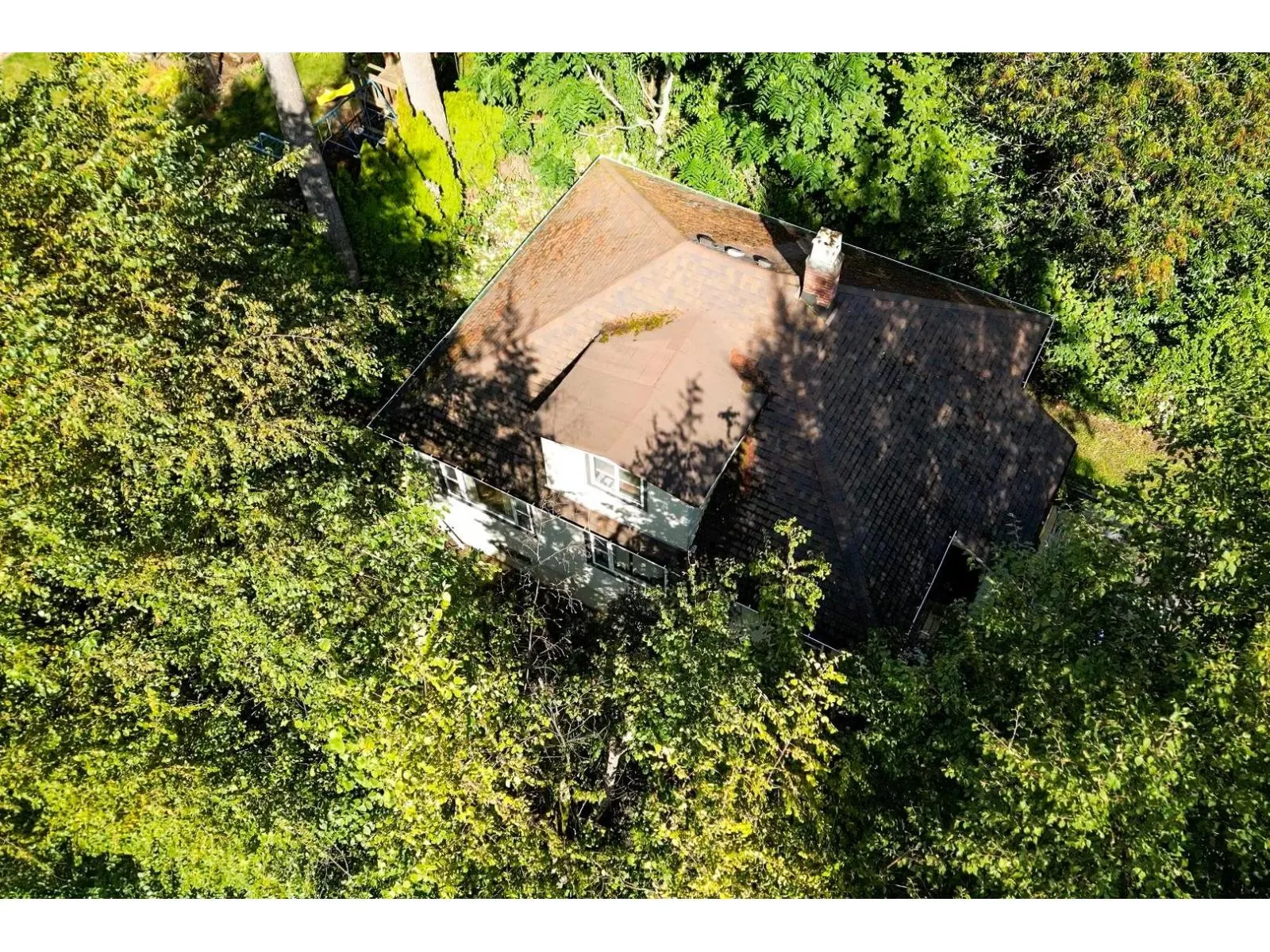 33239 BROWN CRESCENT