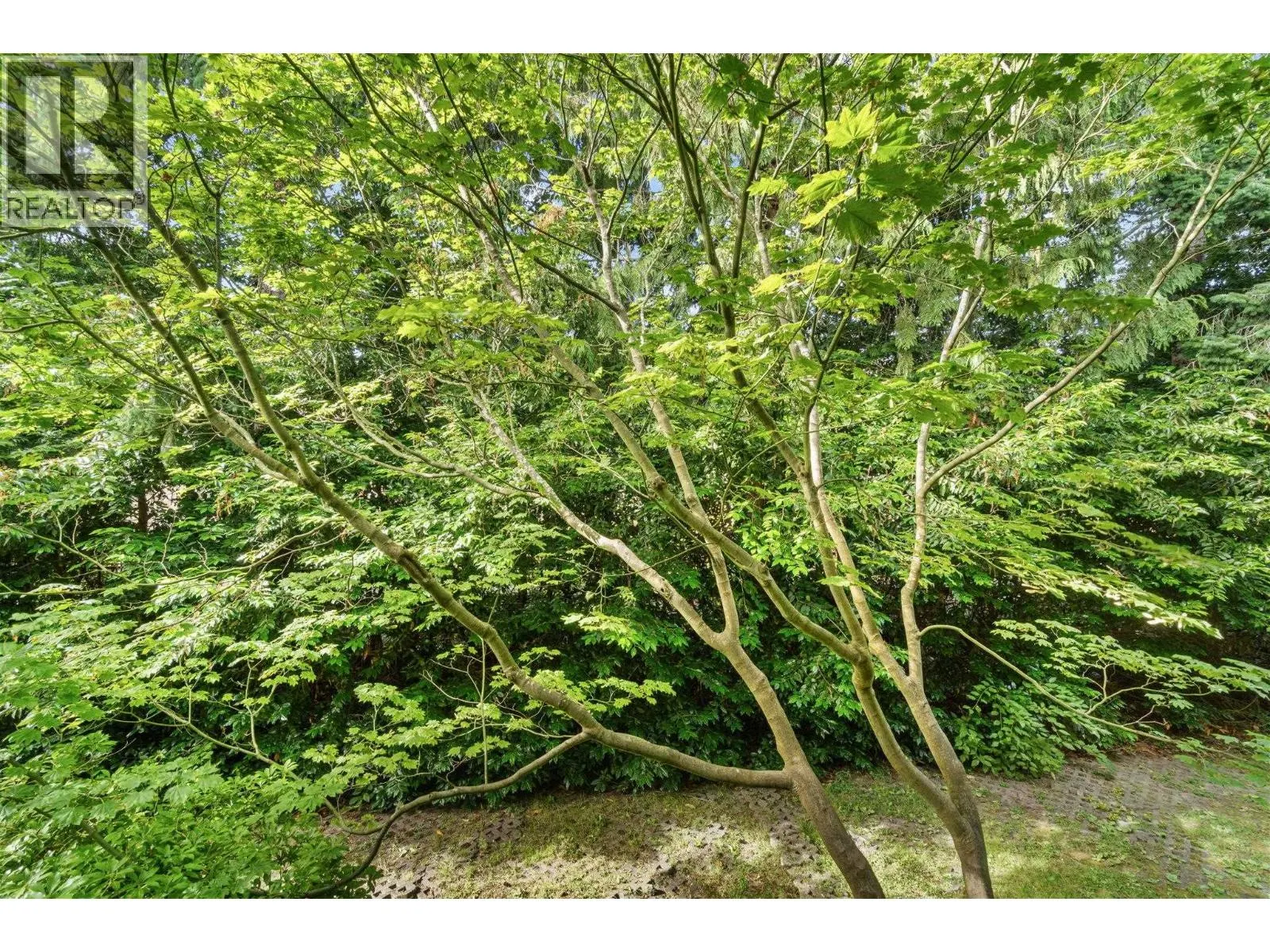118 7431 MINORU BOULEVARD