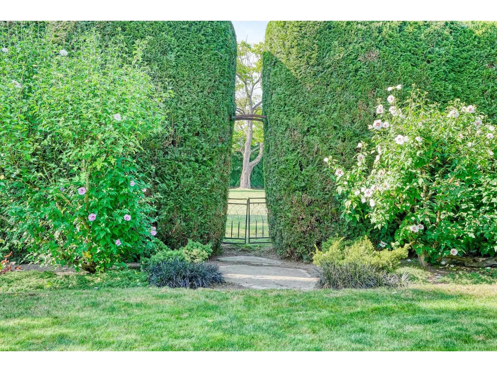 6075 GLENGARRY DRIVE|Sardis South
