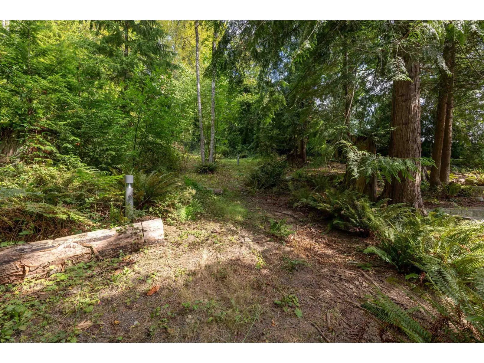47903 HANSOM ROAD|Chilliwack River Valley