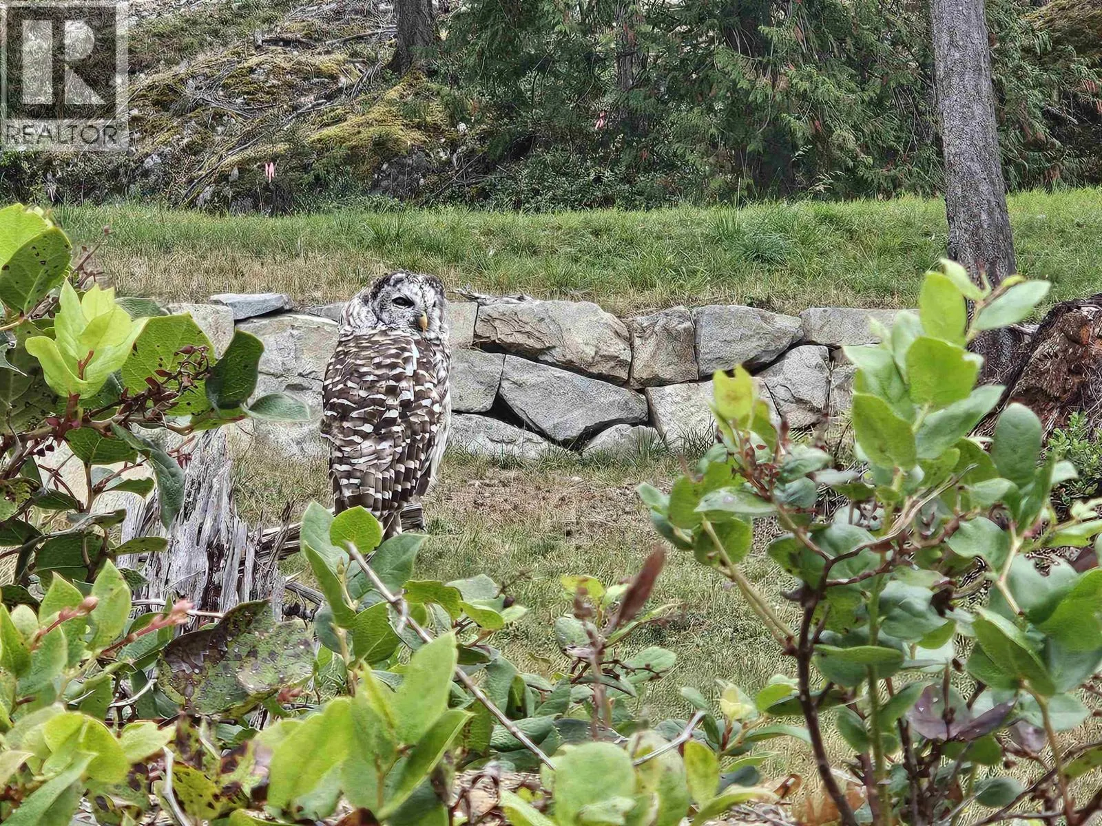 Lot 6 INNISFREE LANE