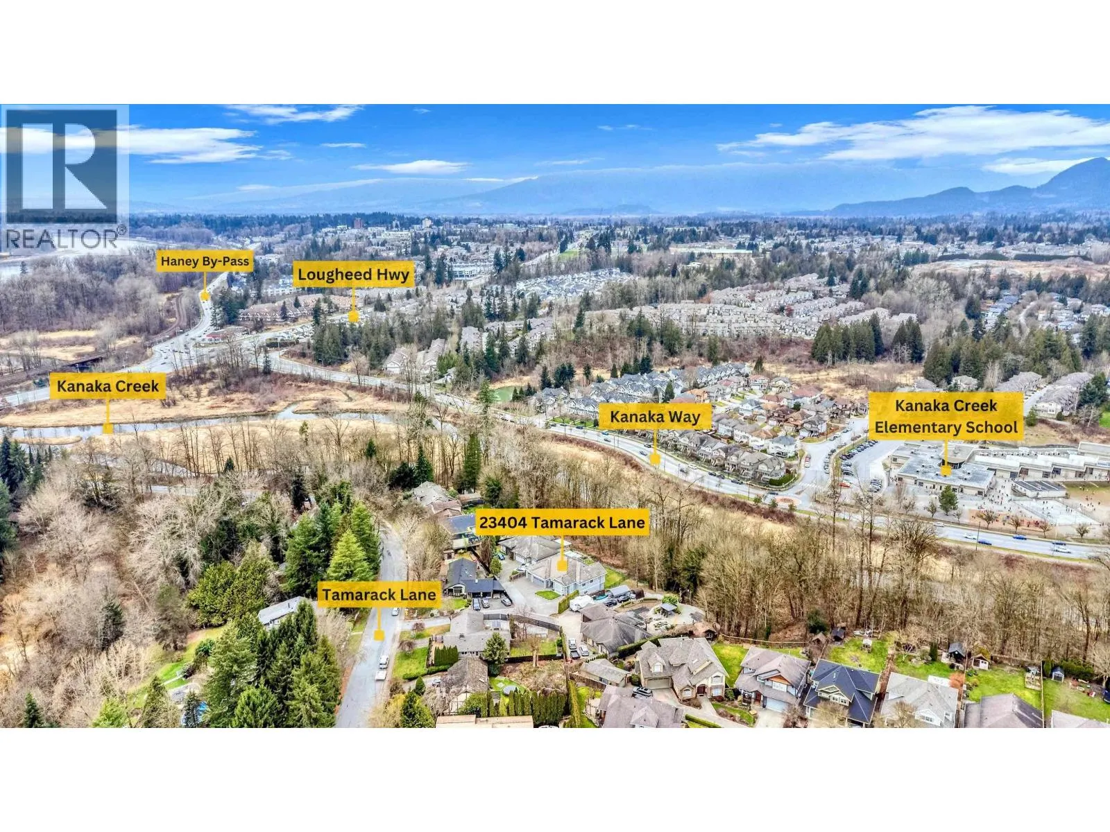 23404 TAMARACK LANE