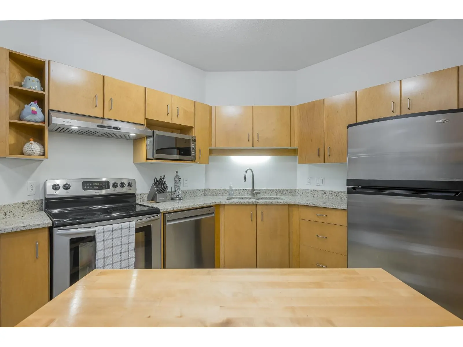 112 20259 MICHAUD CRESCENT