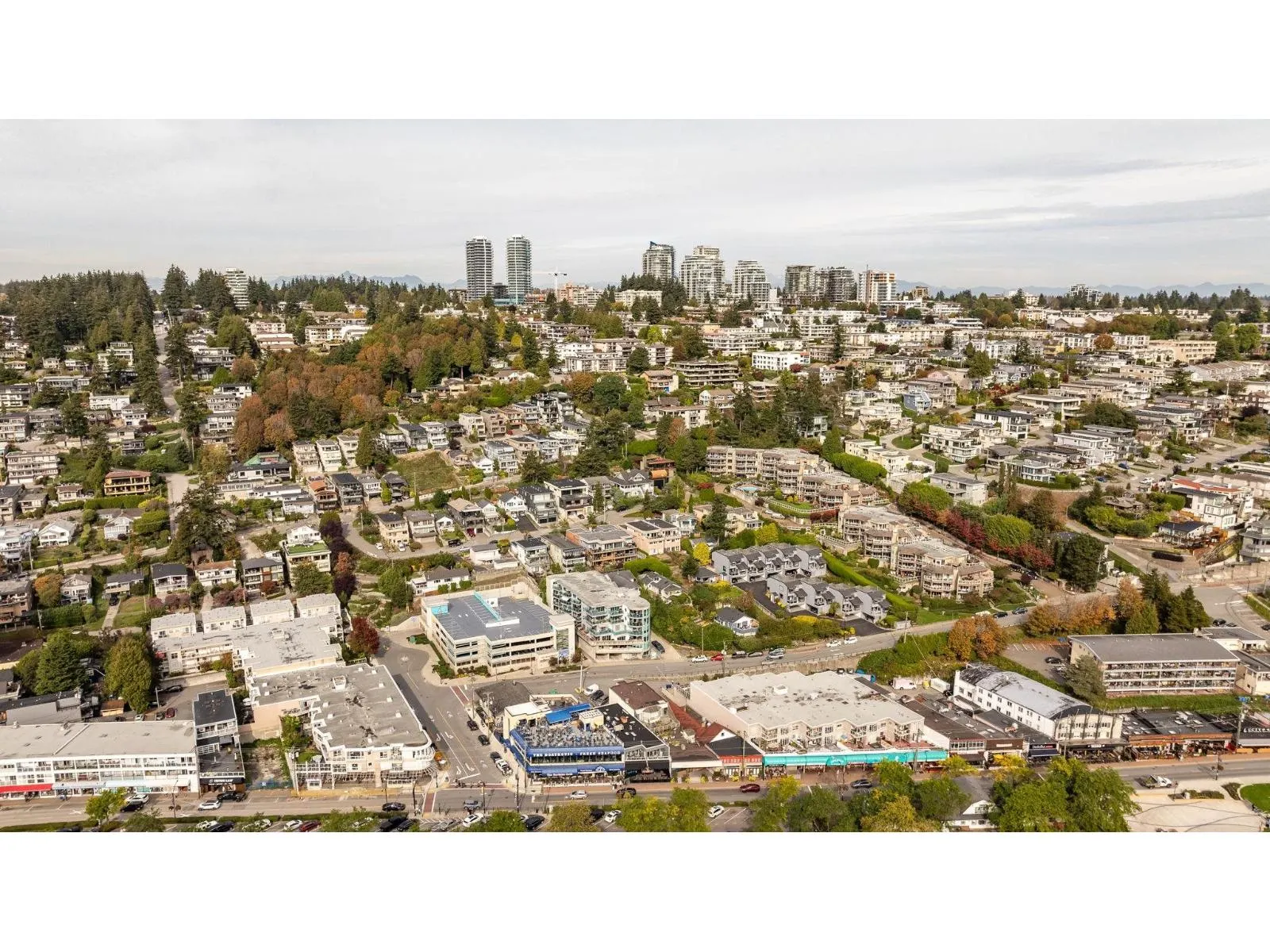 14857 BUENA VISTA