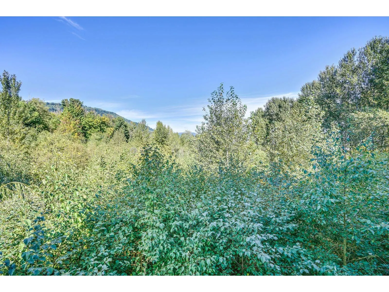 216 2238 WHATCOM ROAD