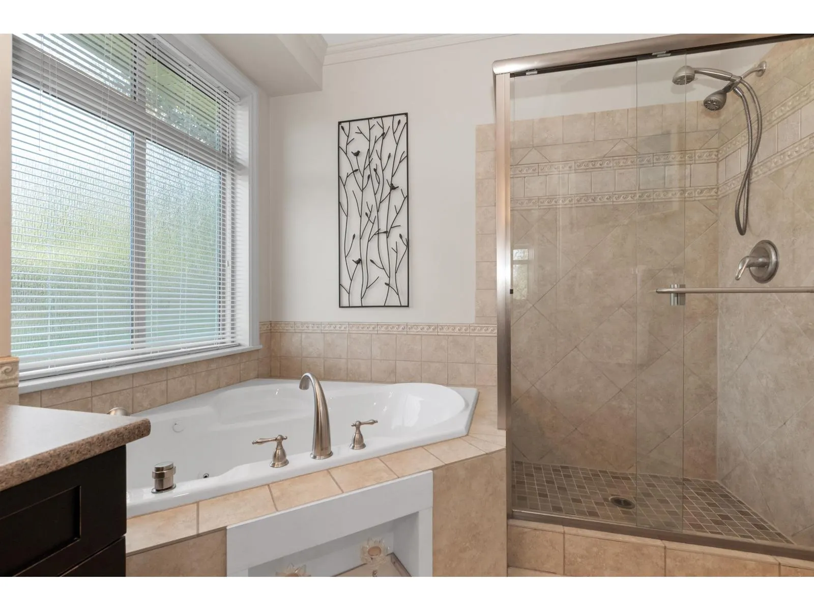 208 51075 FALLS COURT|Eastern Hillsides
