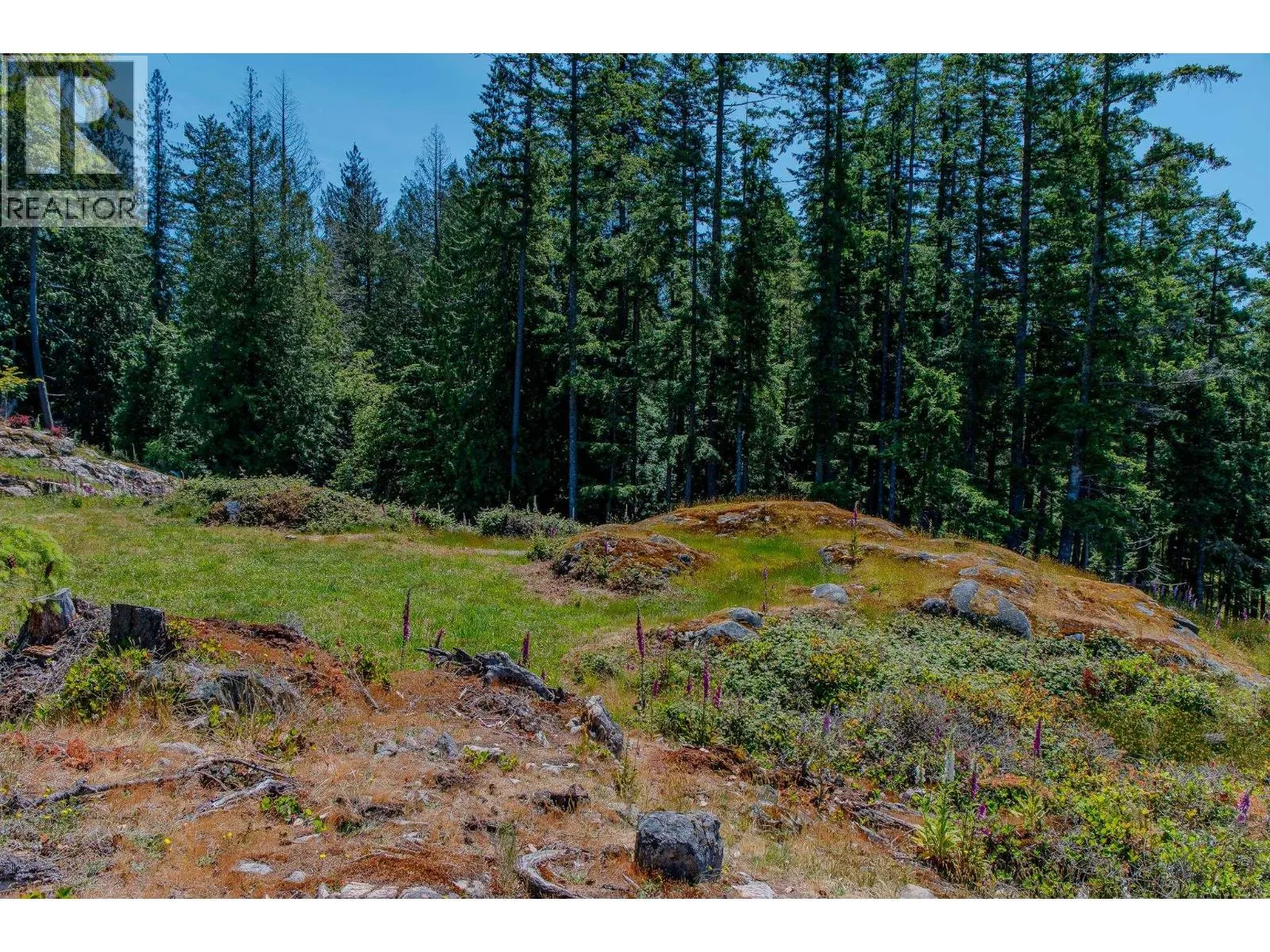1673 EVERGREEN LANE