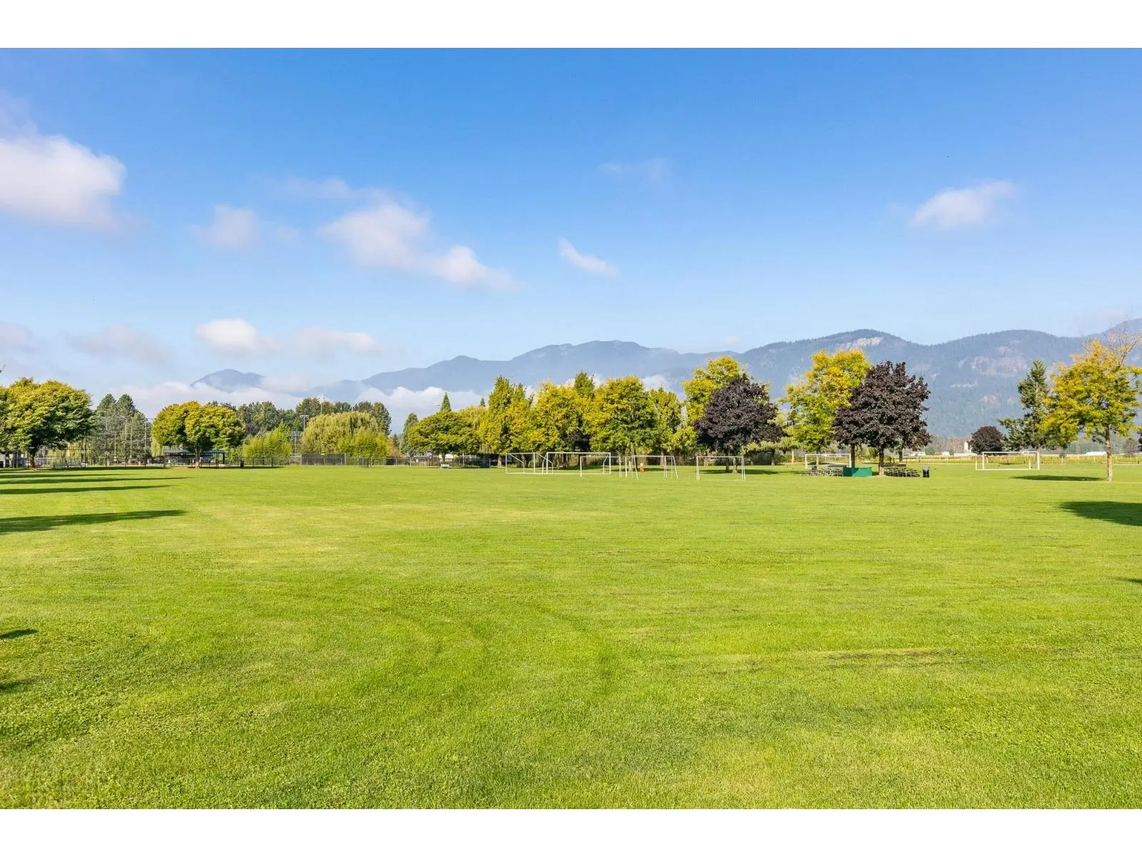 46494 ELLIOTT AVENUE|Fairfield Island
