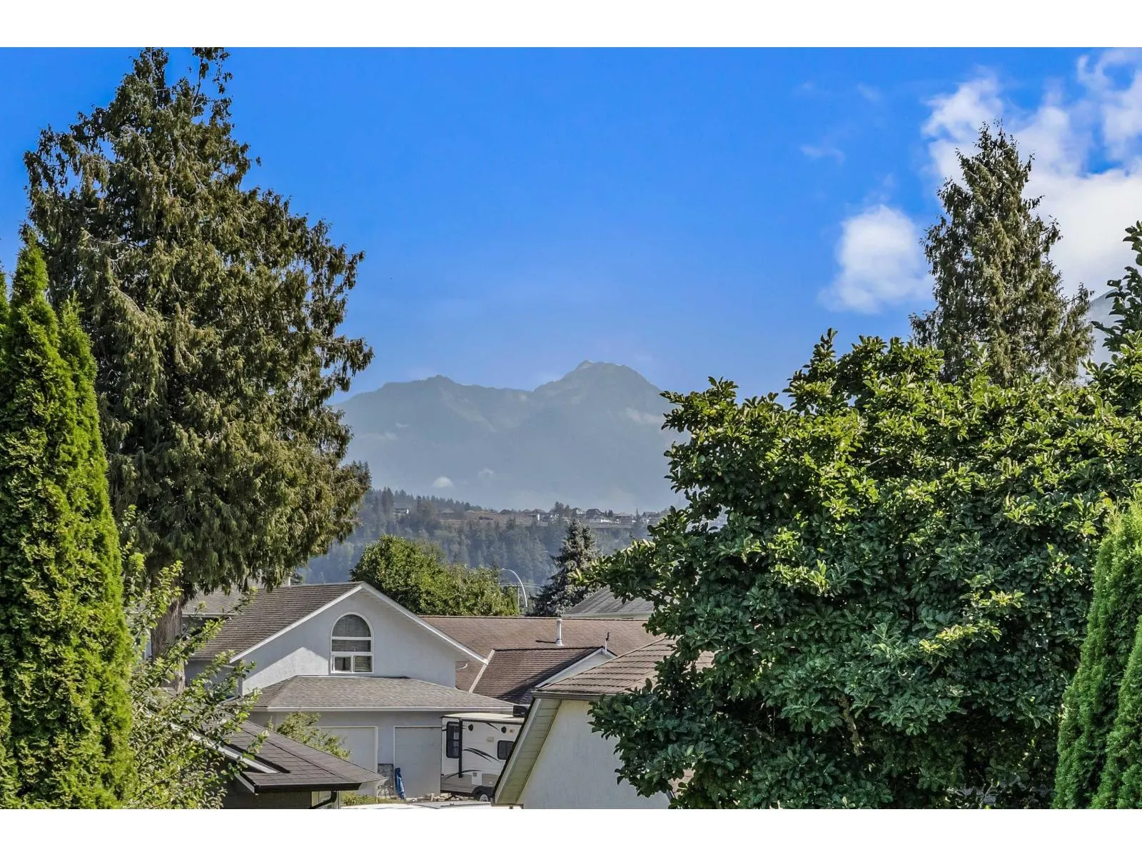 44637 CUMBERLAND AVENUE|Sardis South