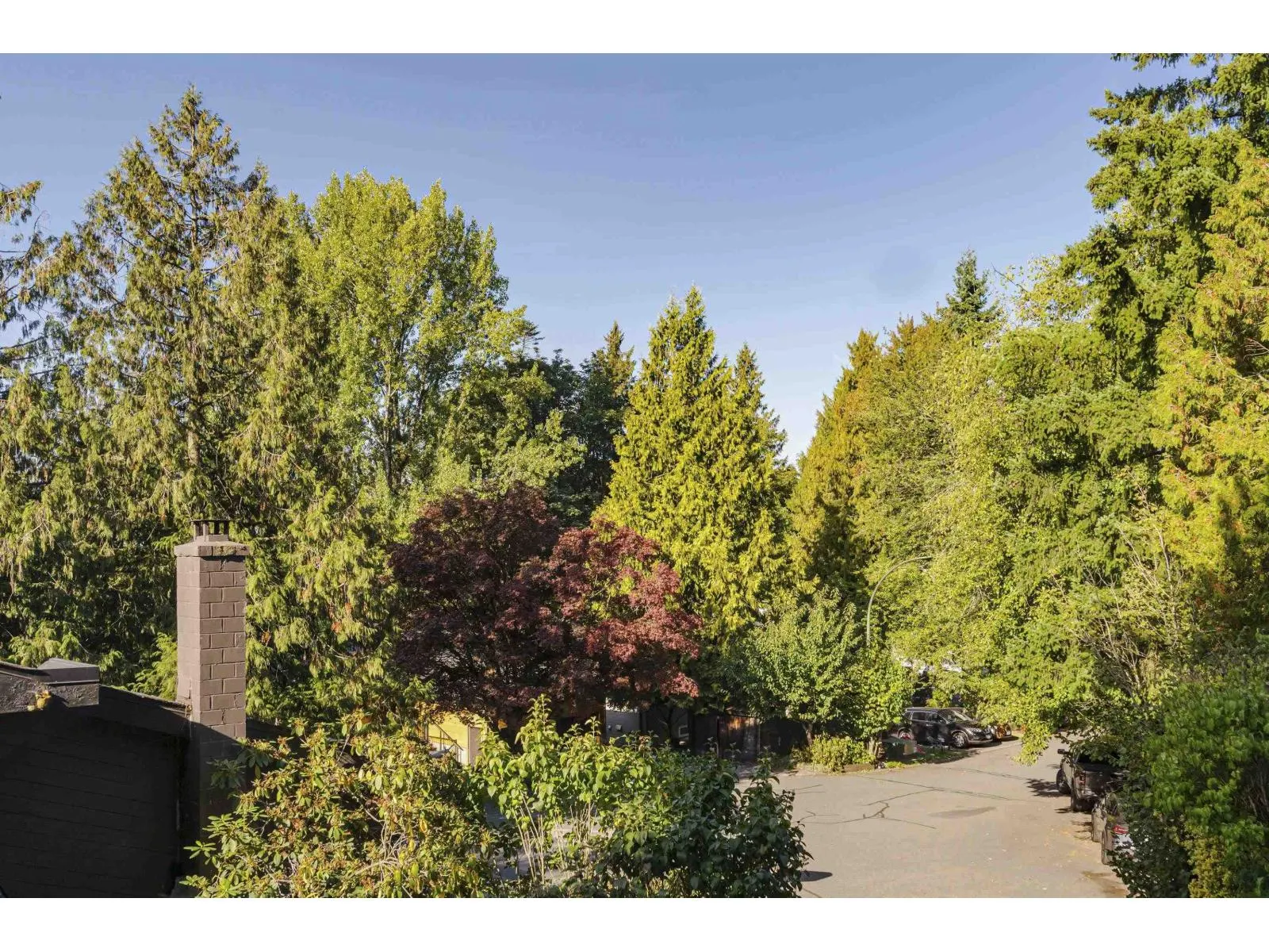 8366 ARBOUR PLACE