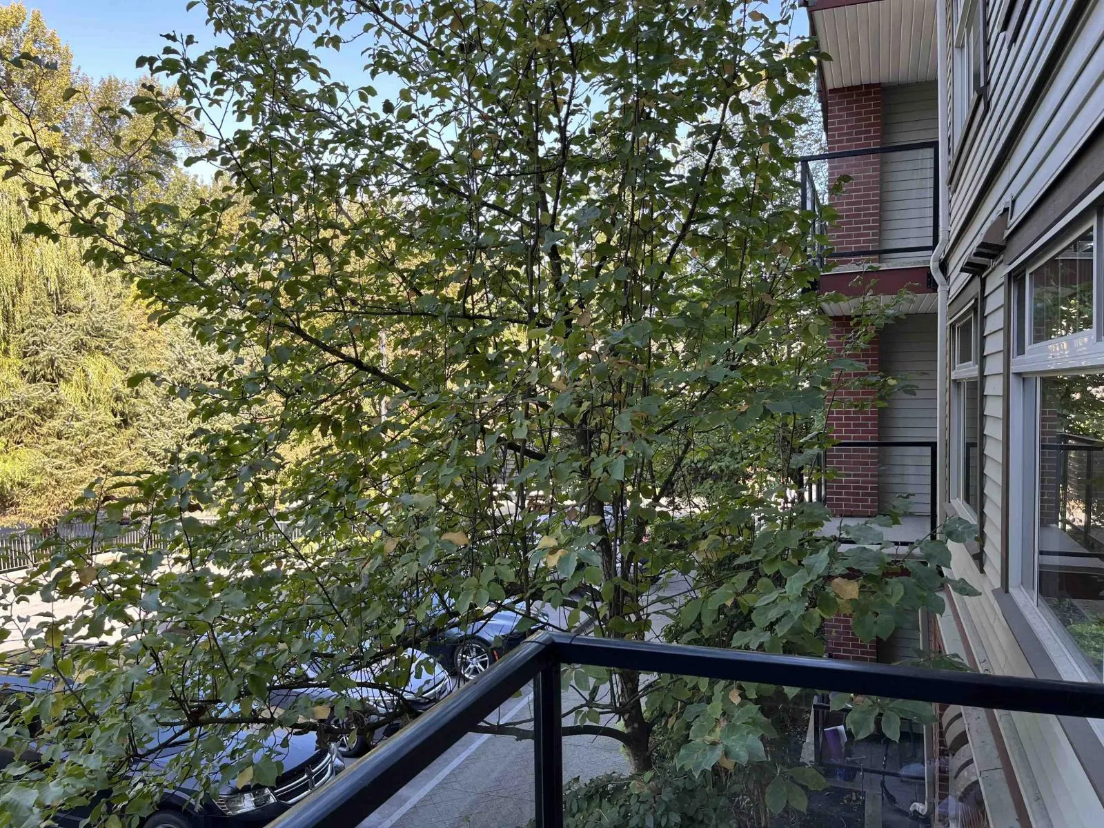 234 2233 MCKENZIE ROAD