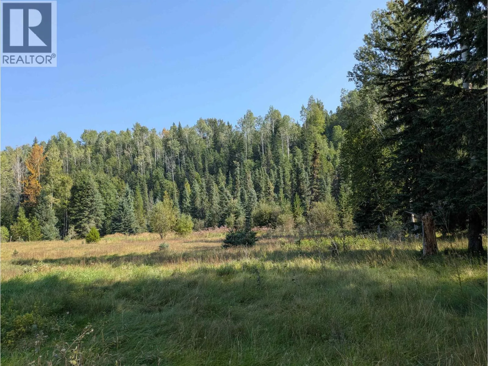 12969 DOME CREEK ROAD