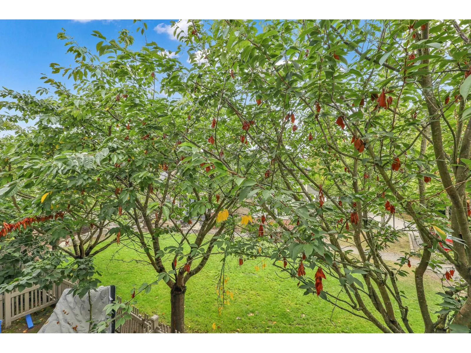 68 14838 61 AVENUE