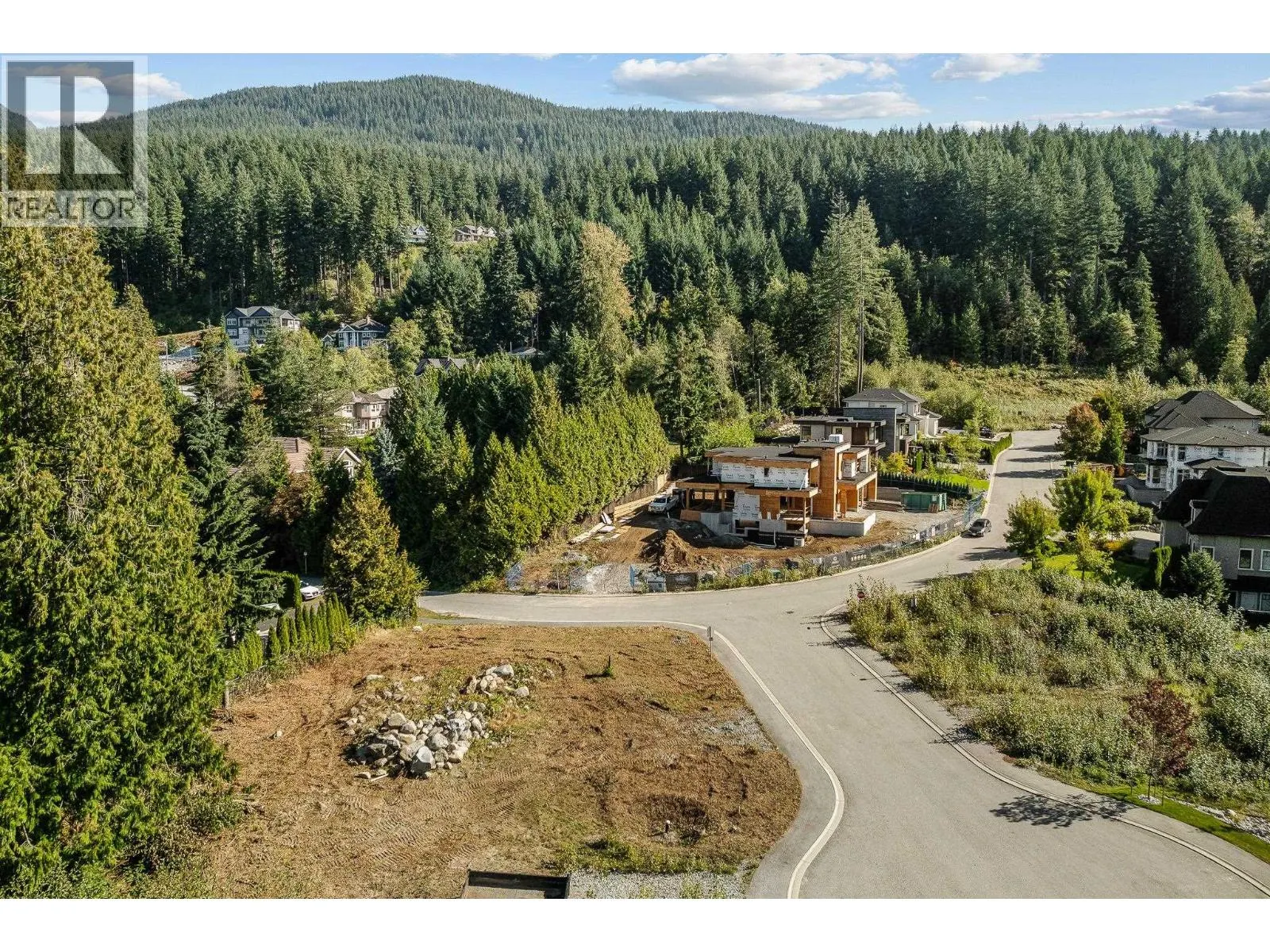 3132 CHESTNUT COURT