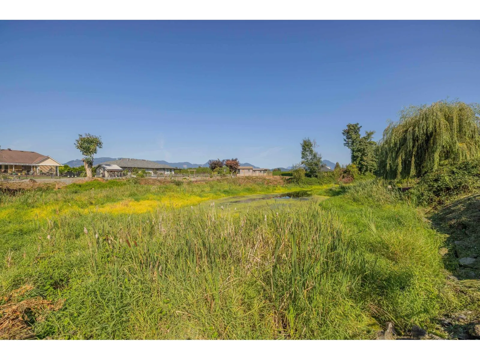 51495 OLD YALE ROAD|Rosedale