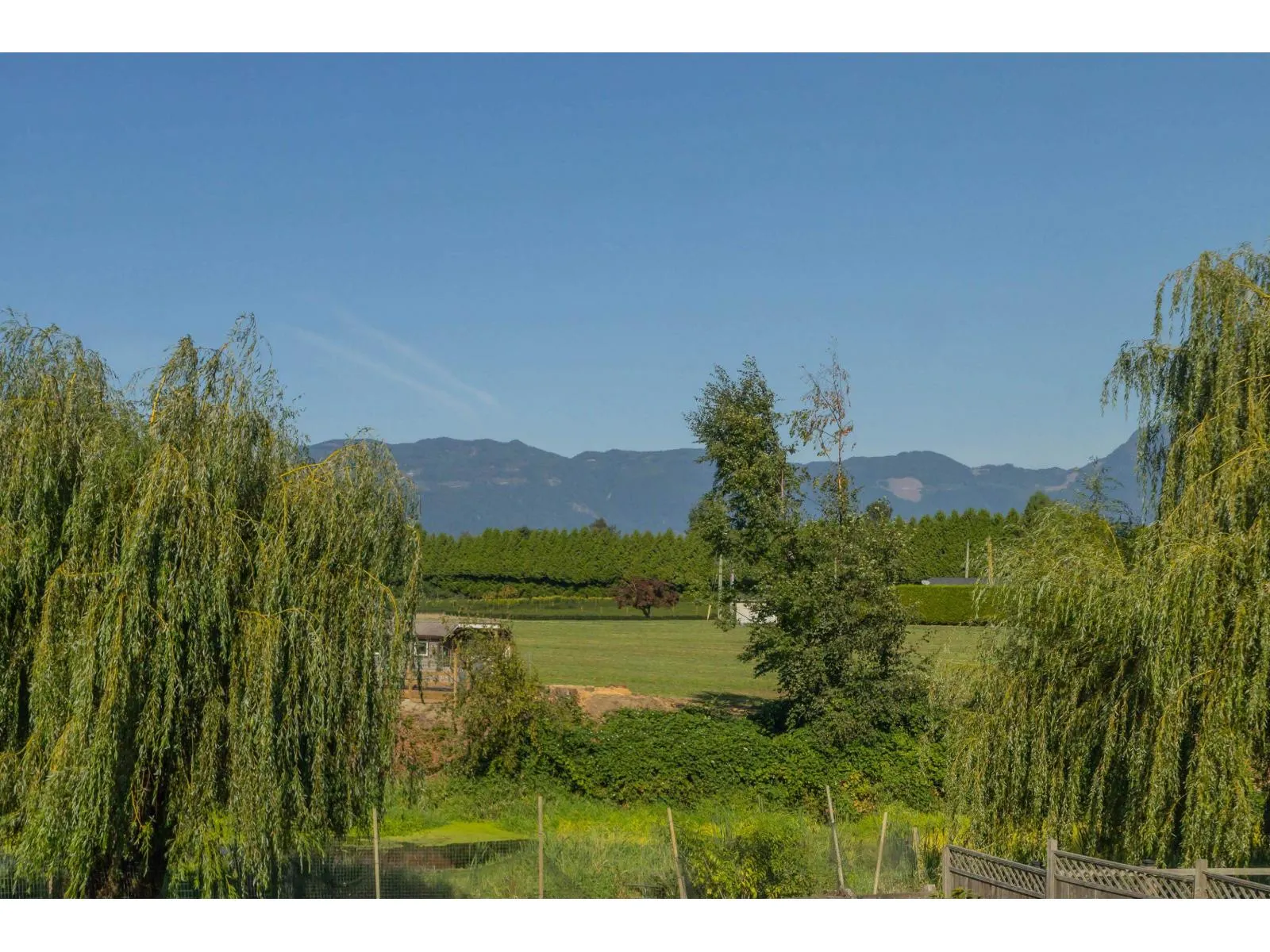 51495 OLD YALE ROAD|Rosedale