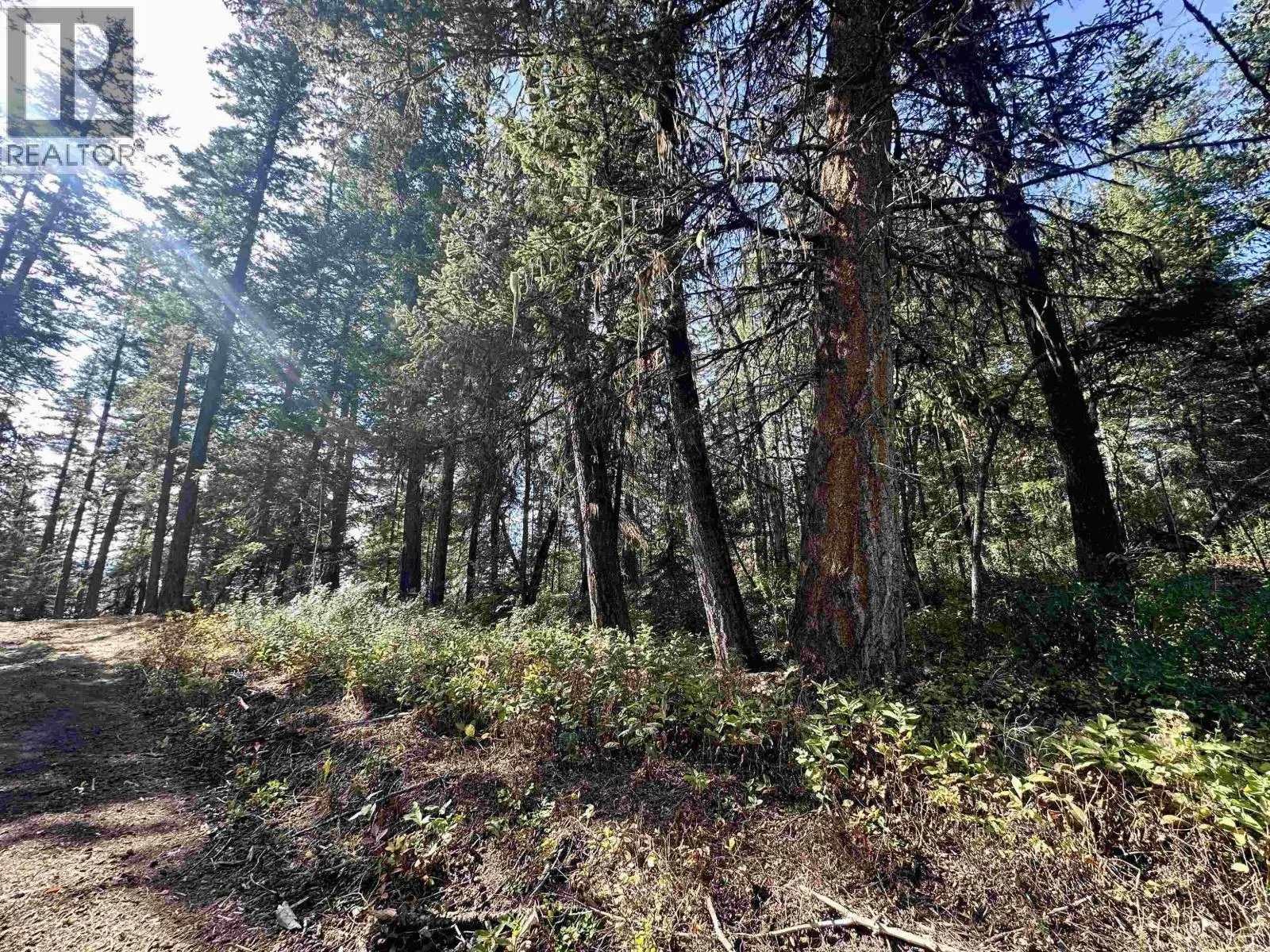 5567 OONA ROAD