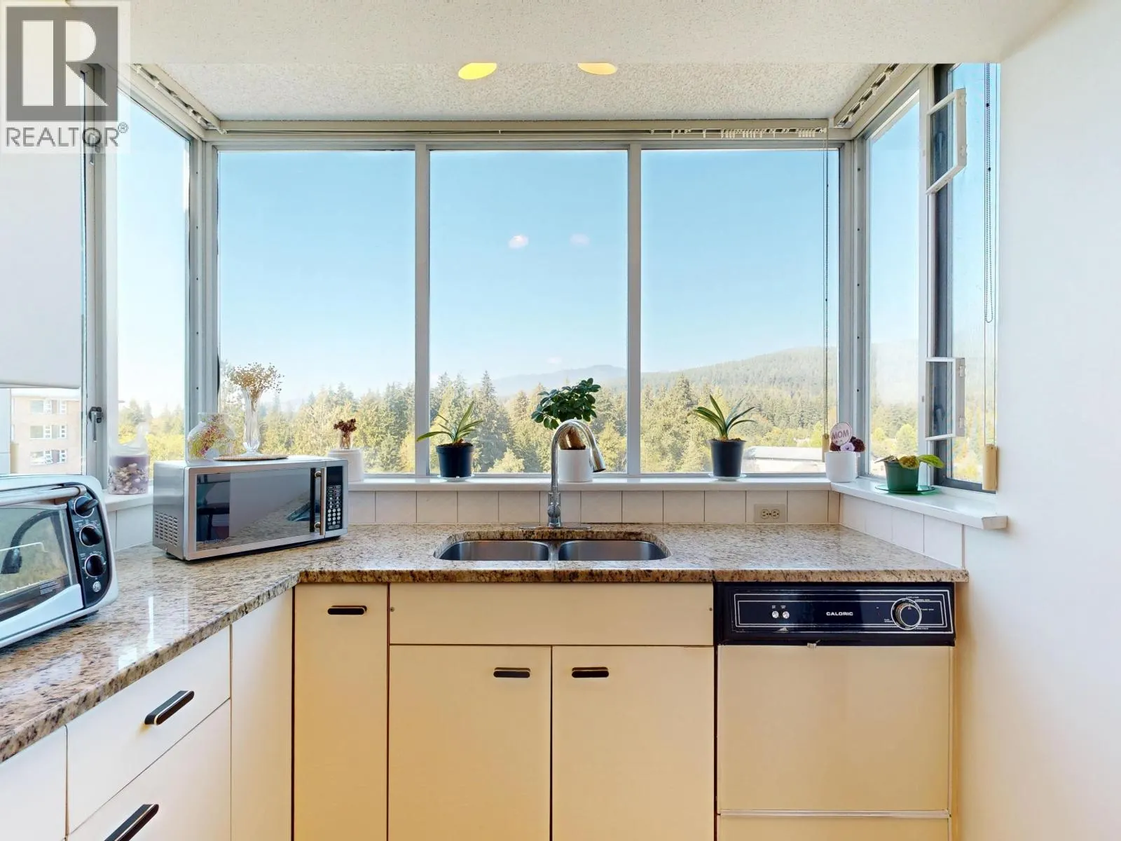 1005 995 ROCHE POINT DRIVE