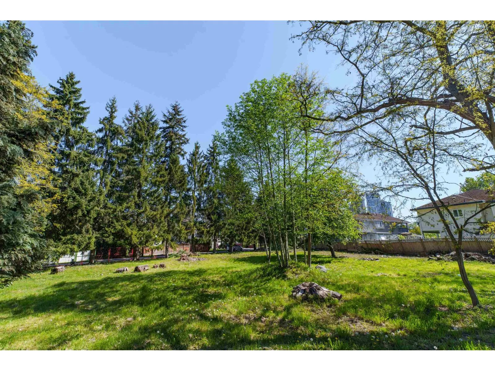 13003 OLD YALE ROAD