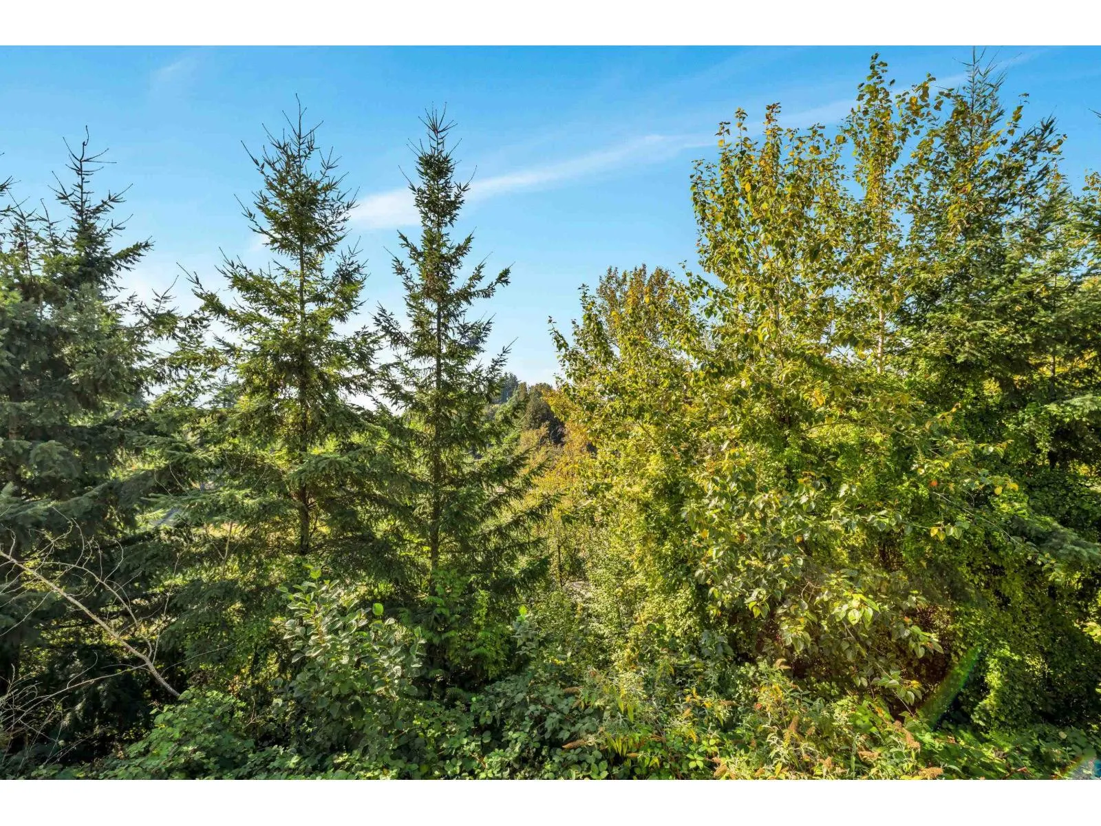 38 35287 OLD YALE ROAD
