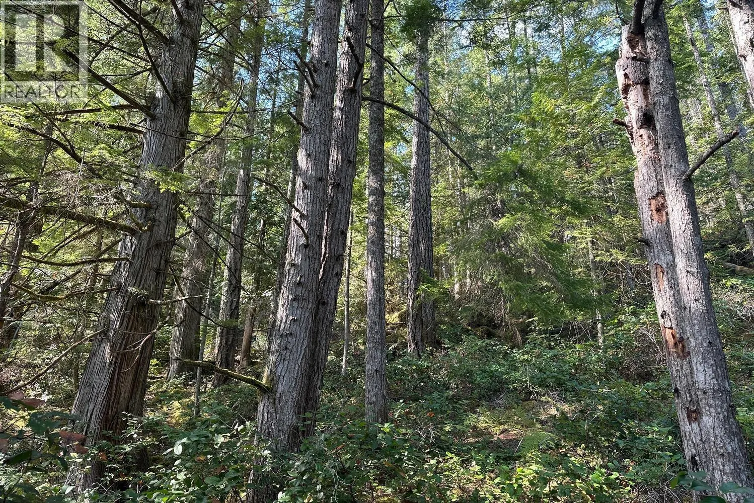 Lot 19 SAKINAW LAKE