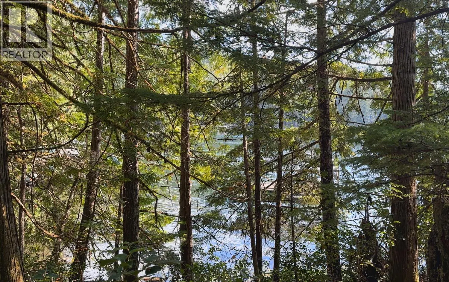 Lot 20 SAKINAW LAKE