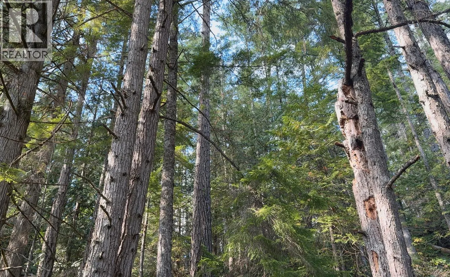 Lot 20 SAKINAW LAKE