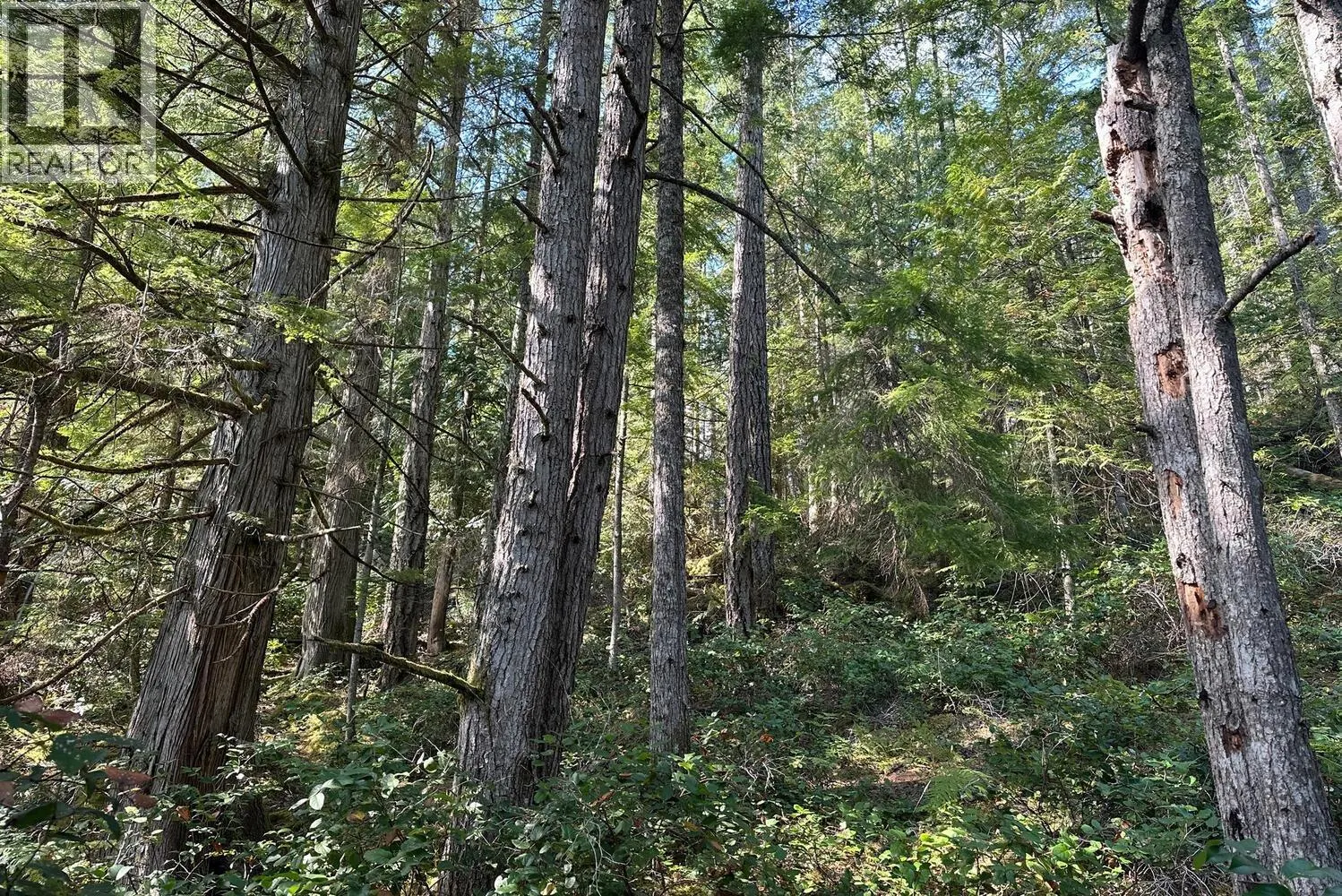 Lot 20 SAKINAW LAKE
