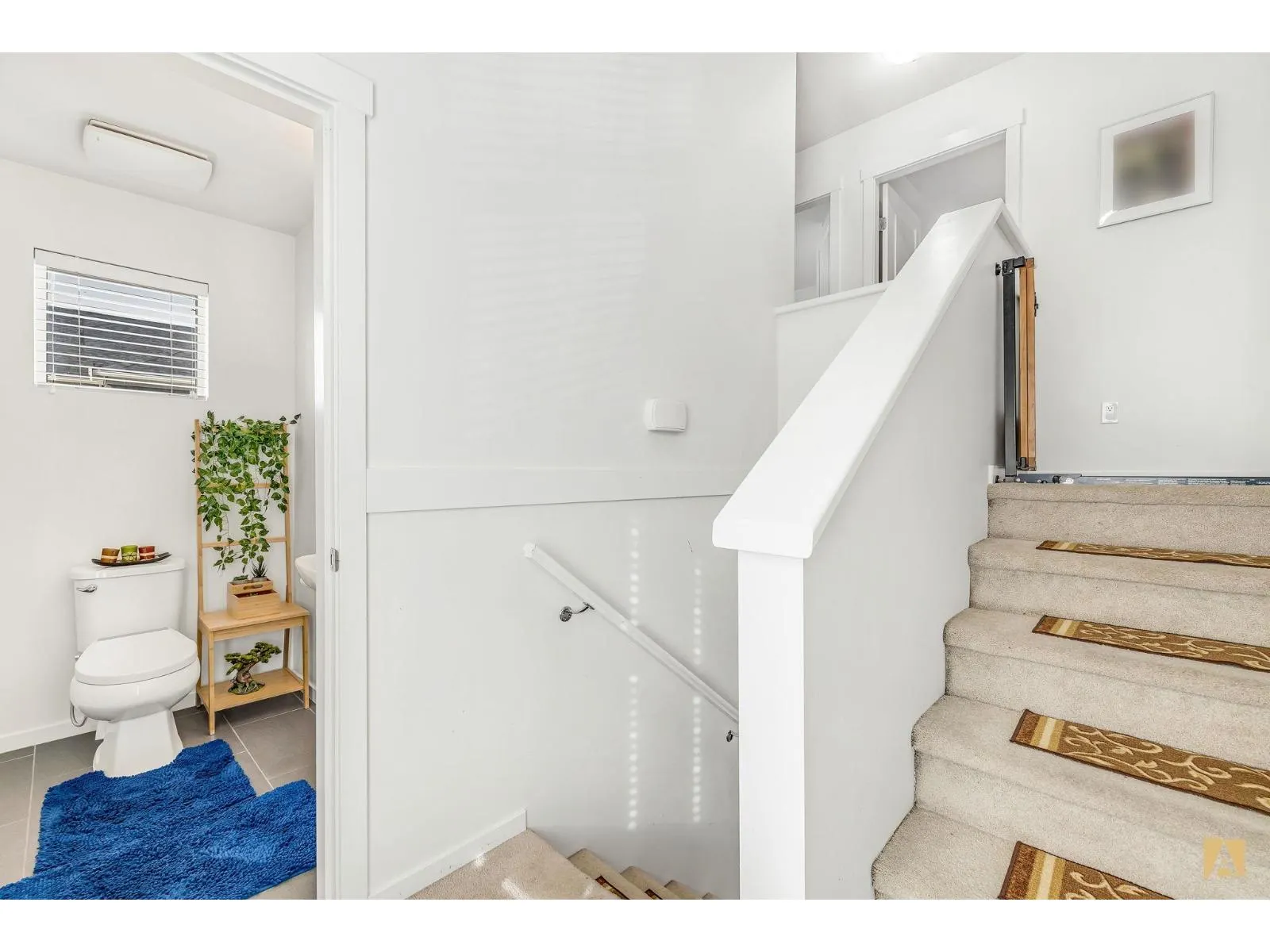 132 8130 136A STREET