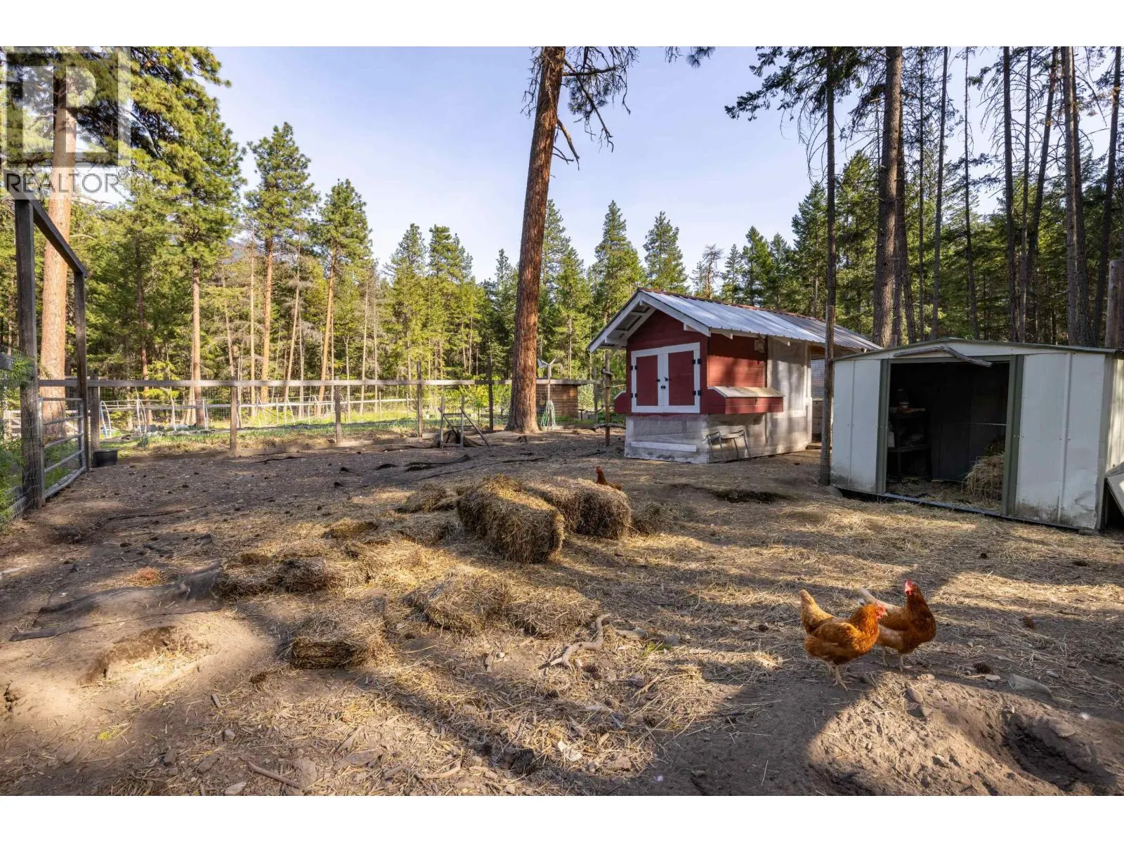 6 9866 PEMBERTON PORTAGE ROAD