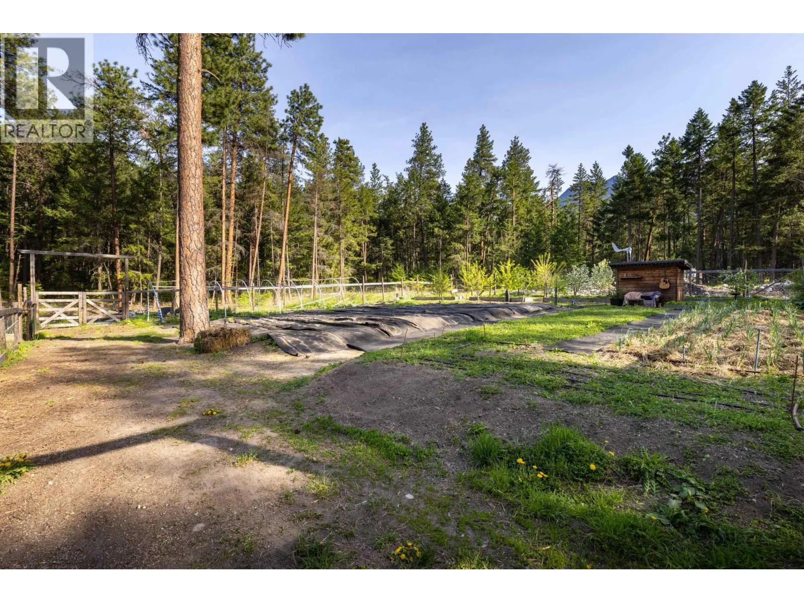6 9866 PEMBERTON PORTAGE ROAD