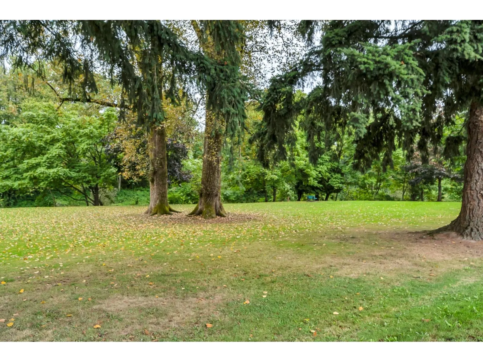 45741 BERKELEY AVENUE|Chilliwack Proper West