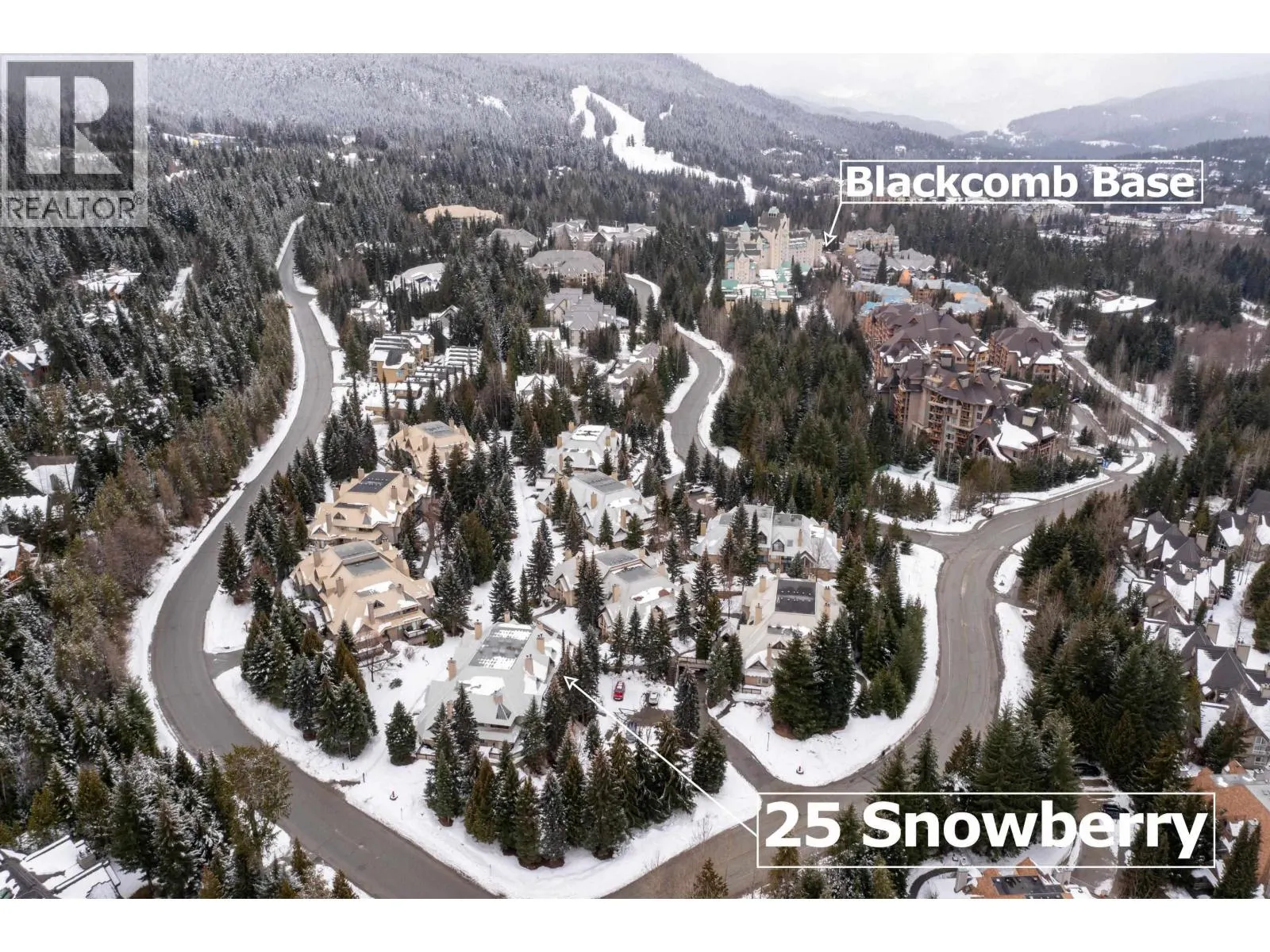 25 4637 BLACKCOMB WAY