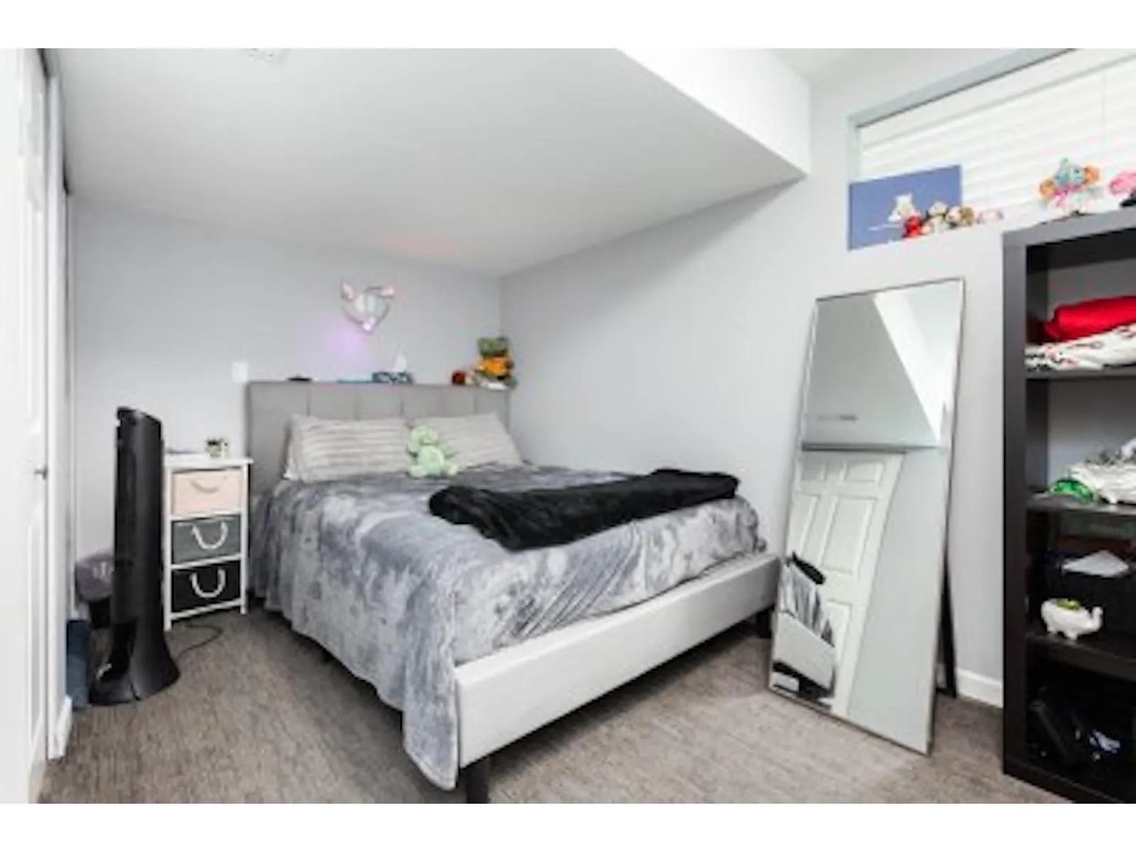 Basement 20454 91A AVENUE