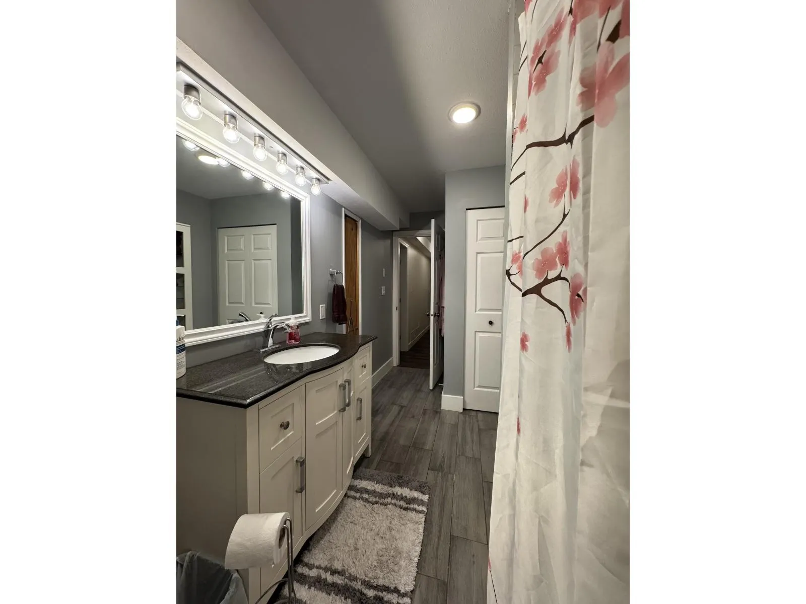 Basement 20454 91A AVENUE