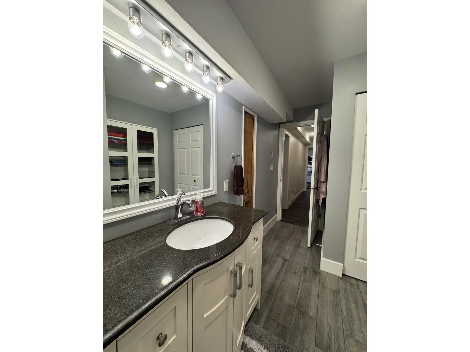 Basement 20454 91A AVENUE