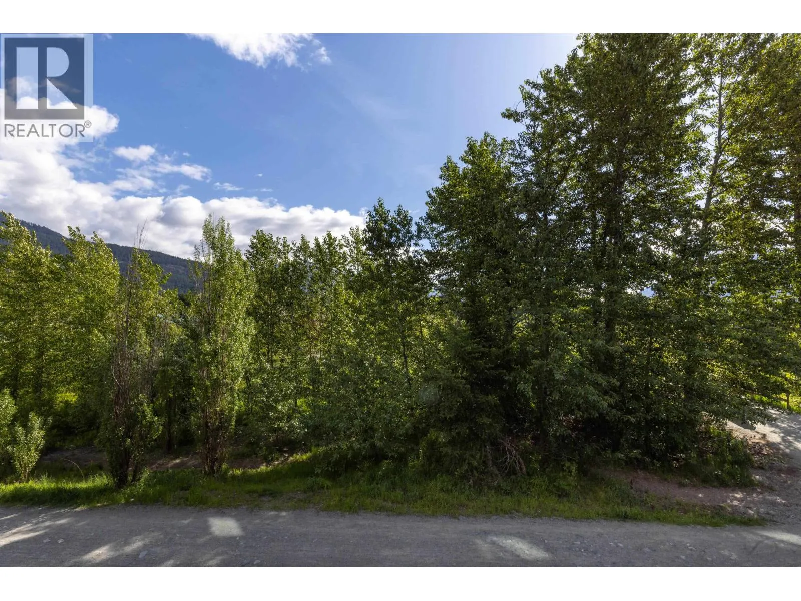110 7350 CRABAPPLE COURT
