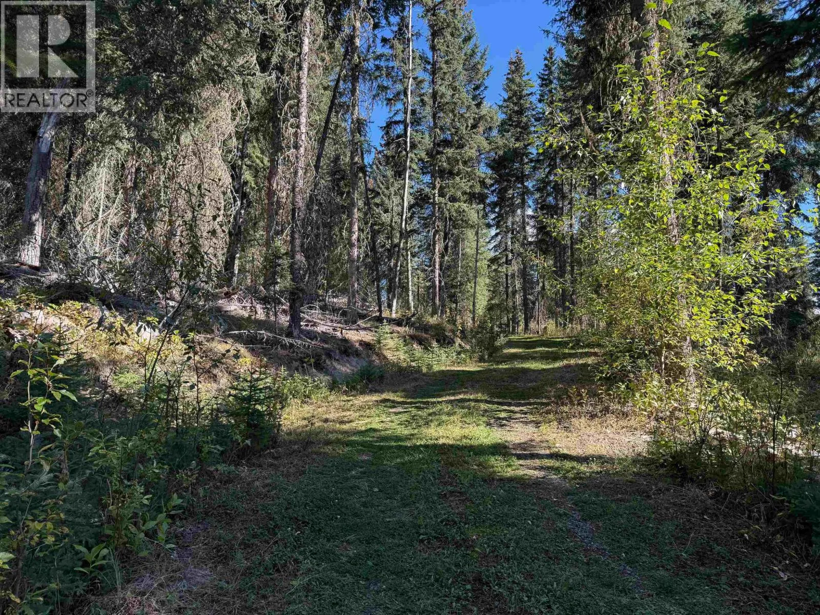 8368 RAINBOW COUNTRY ROAD